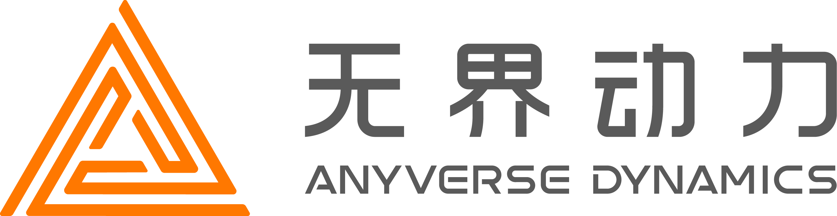 Anyverse Dynamics